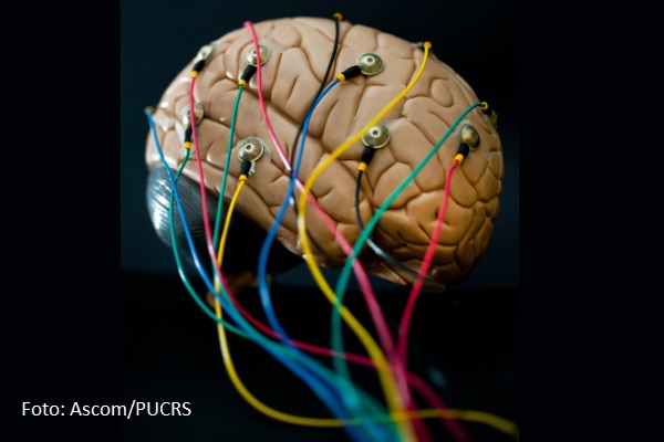 cerebro