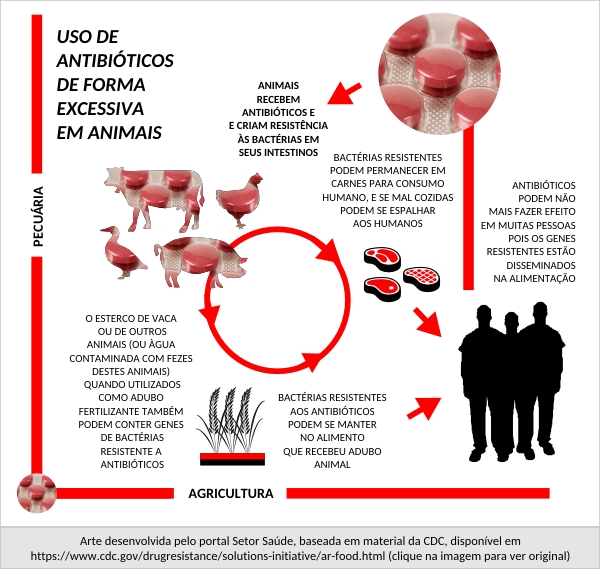 resistencia_antibiotico_pecuaria_agrucultura_imagem