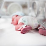 III Encontro Internacional de Neonatologia