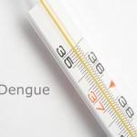 dengue_new
