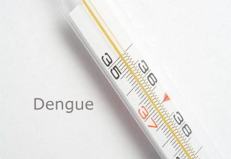 dengue_new