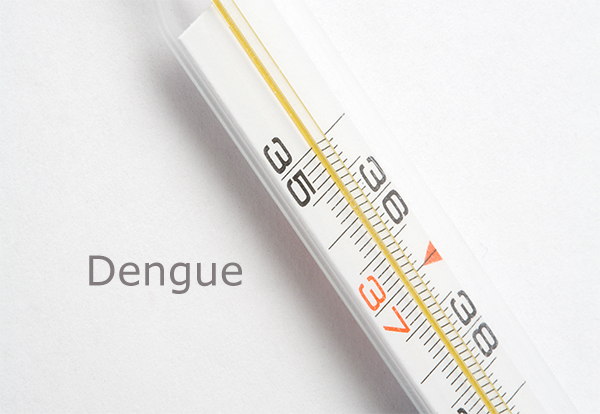 dengue_new