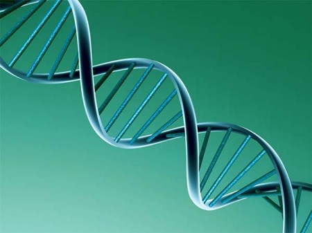 DNA natural não pode ser patenteado