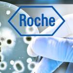 roche investe