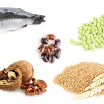 Alimentação 3