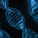 Gene poderia explicar razão do câncer de pâncreas ser tão agressivo