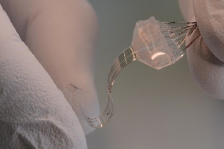 Implante espinhal é esperança para paralíticos