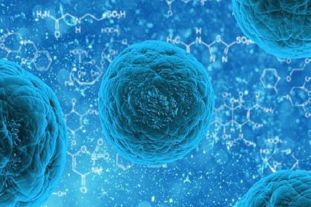 Pesquisas avançam no campo das mutações celulares