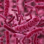 Pesquisa alerta para a necessidade de repensar os tratamentos para sepse