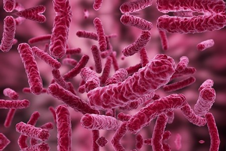 Pesquisa alerta para a necessidade de repensar os tratamentos para sepse