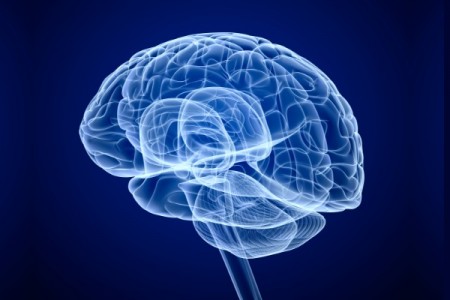 Associação Americana aprova uso de stent no cérebro para tratar AVC