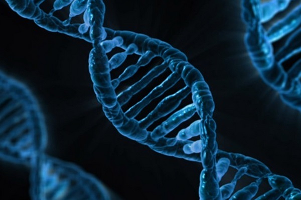 Tratamento com injeção de gene reverte cegueira total