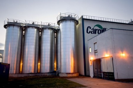 Cargill afirma que reduzirá o uso de antibióticos em bovinos