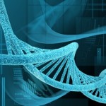 Identificados genes e mutações que levam ao câncer de mama