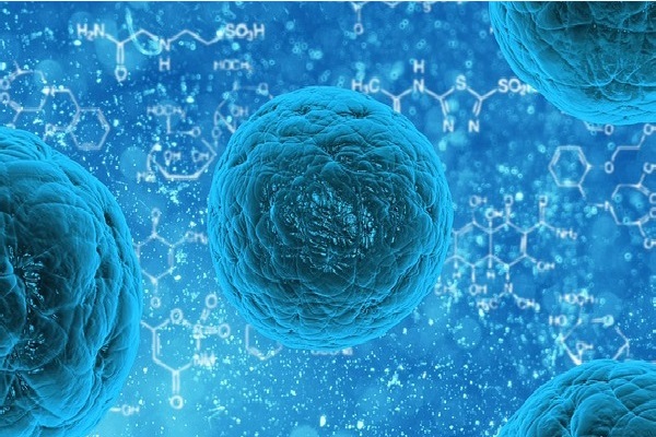 Células do sistema imunológico treinadas aumentam perspectiva de vacina universal contra o câncer