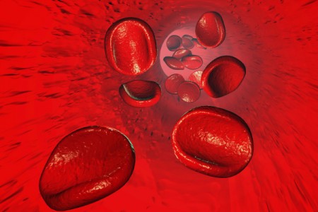 Existe transmissão de doenças neurodegenerativas por transfusão de sangue?