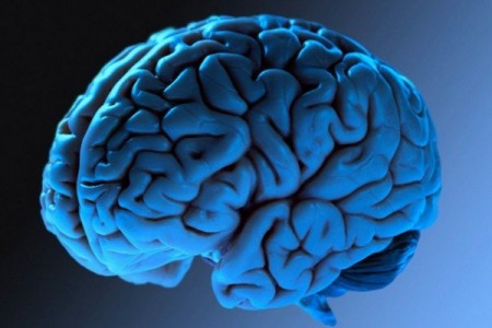 Mudanças na estrutura do cérebro durante a adolescência fornecem pistas para o aparecimento de problemas mentais futuros