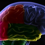 Evento aborda alterações no diálogo entre neurônios presentes em doenças mentais