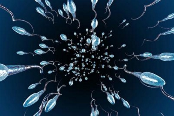 Contagem de esperma em homens ocidentais caiu mais de 50% desde 1973