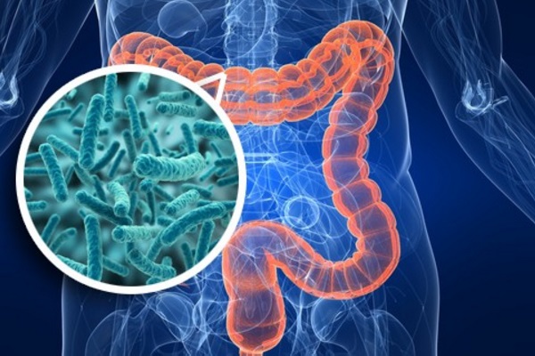 Dois tipos de bactérias intestinais podem ser a causa do câncer de cólon, diz estudo