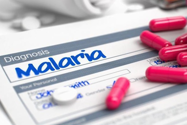Medicamento que cura tipo de malária com dose única é aprovado nos EUA
