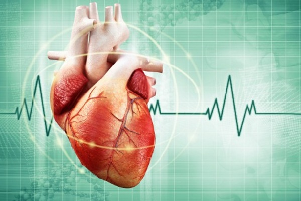 Prevenir a morte súbita cardíaca é possível