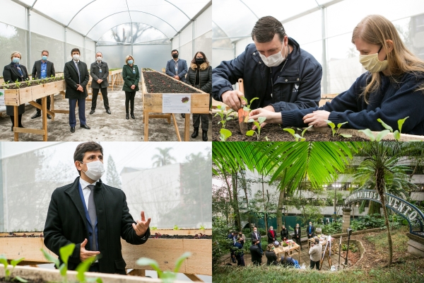 Hospital Moinhos de Vento inaugura estufa agrícola com produtos cultivados sem defensivos agrícolas