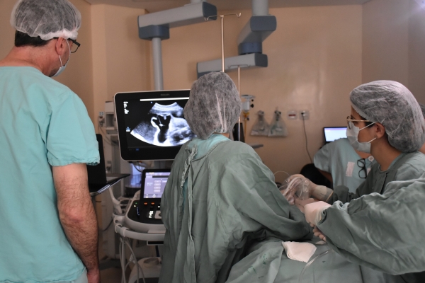 Santa Casa de Porto Alegre inicia Programa de Cirurgia Fetal com procedimento raro e inédito no RS