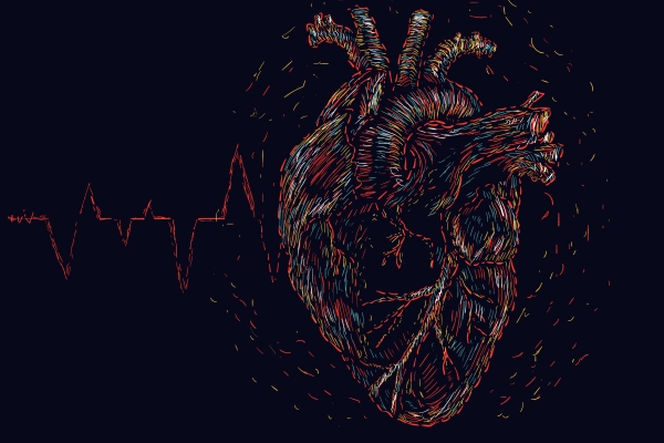 Covid infecta células musculares do coração, podendo gerar danos cardíacos a longo prazo
