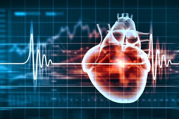 Hospital Moinhos avaliará alternativa para tratamento no SUS da insuficiência cardíaca