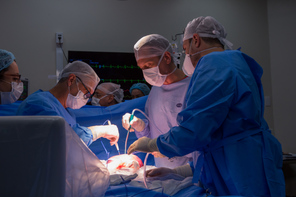 Hospital Moinhos de Vento realiza primeira cirurgia fetal na instituição-