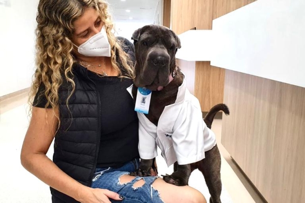 Cão de assistência traz amor e alegria para paciente e equipes do Hospital São Lucas da PUCRS