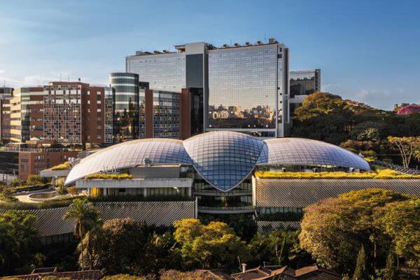 Einstein desenvolve IA para diagnóstico rápido da malária na Amazônia