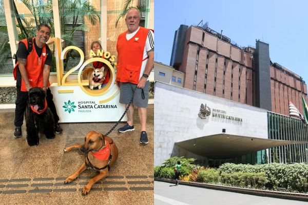Hospital Santa Catarina - Paulista Implementa Terapia Assistida por Animais para Elevar Experiência do Paciente